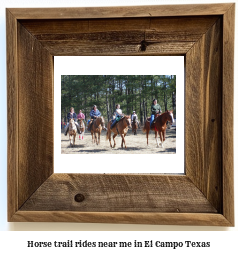 horse trail rides near me in El Campo, Texas